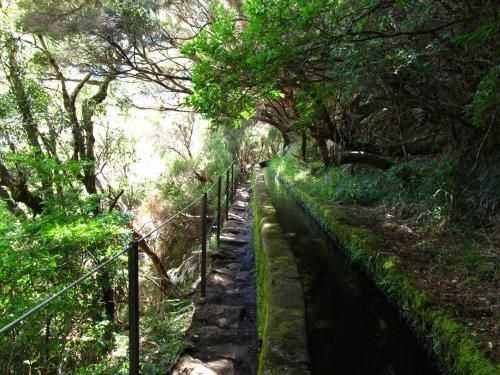 Hiking Levada das 25 fontes