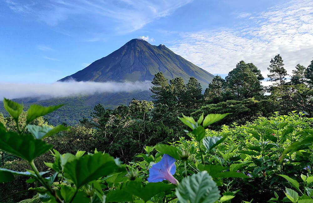 Arenal, La Fortuna Waterfall, Hanging Bridges, Hot Springs