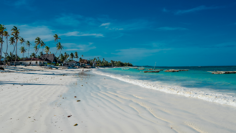 Šest razloga zašto posjetiti Zanzibar