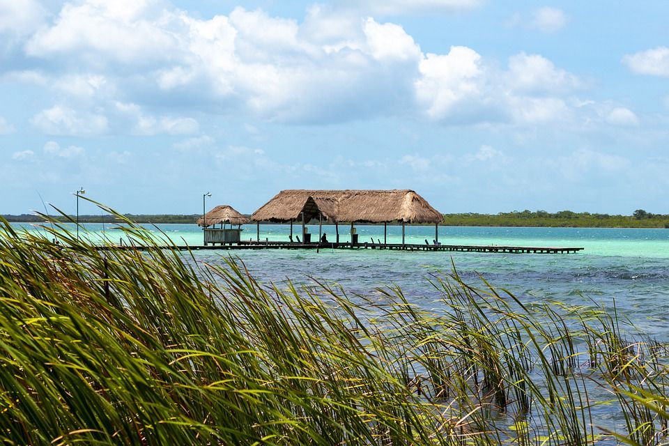 Bacalar