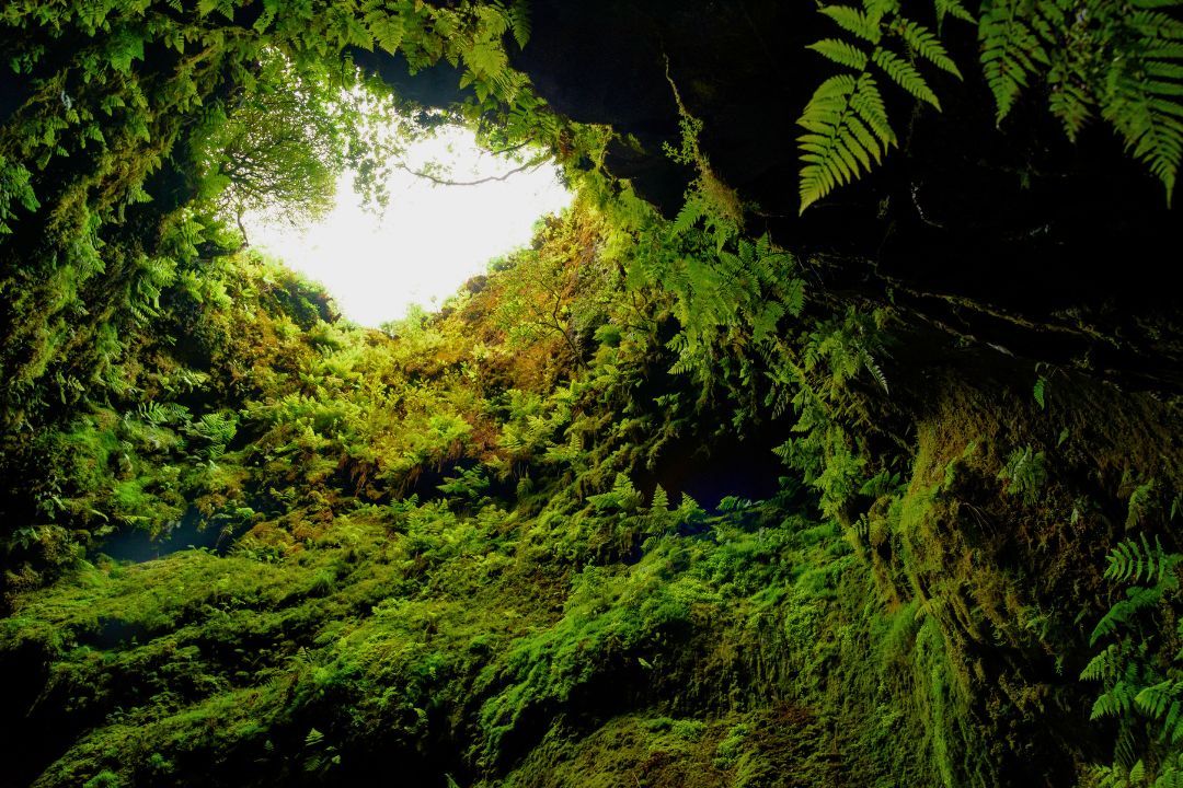 Algar do Carvão + Furnas do Enxofre + Serra do Cume