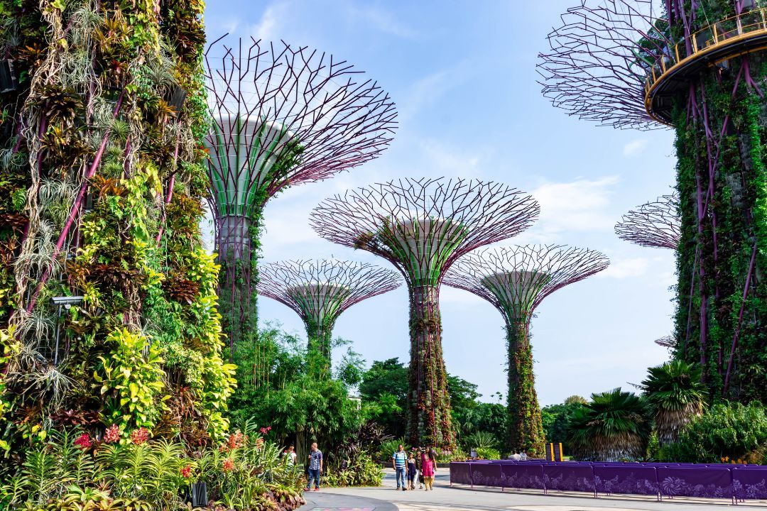 Obilazak Singapura
