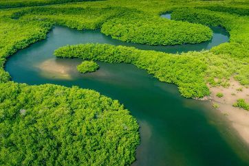 Brazil – Rio, Iguaçu i Amazona