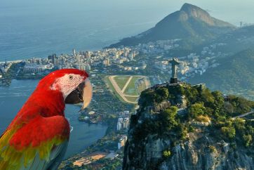 Brazil – Rio, Minas Gerais, Ilha Grande