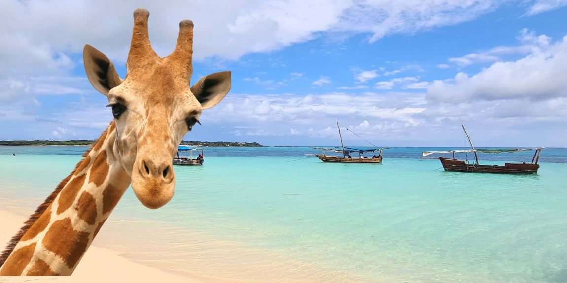 Tanzanija i Zanzibar iz Zagreba