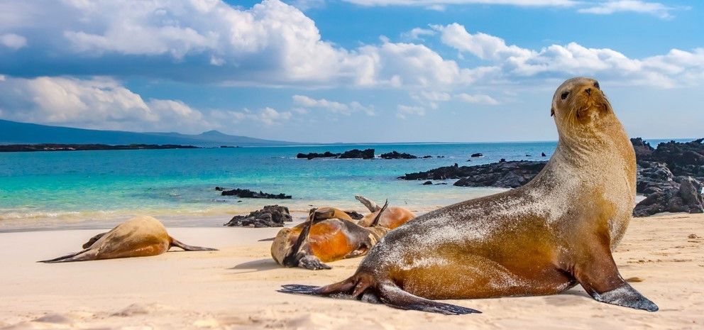 Ekvador i Galapagos – Zemlja netaknute divljine