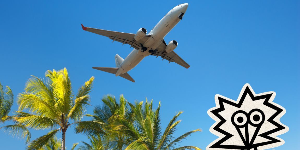 Prvi let avionom? Evo što možeš očekivati