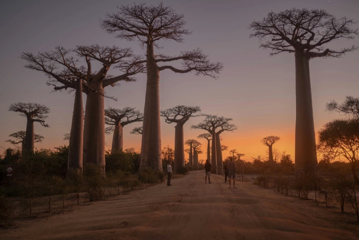 Madagaskar Ekspedicija iz Beograda