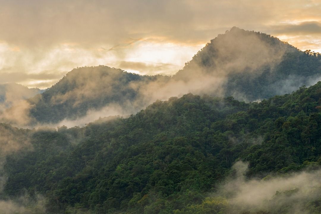 Mindo Cloud Forest
