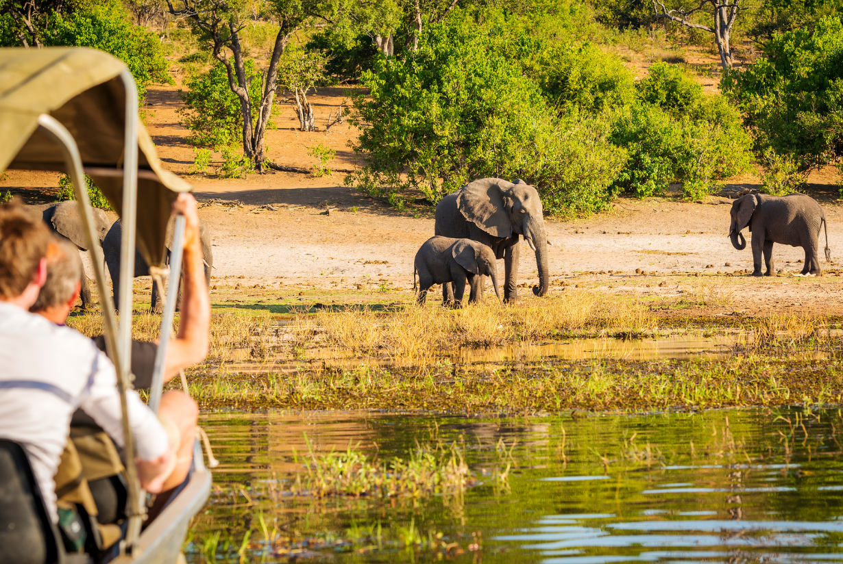 Namibija safari iz Beograda