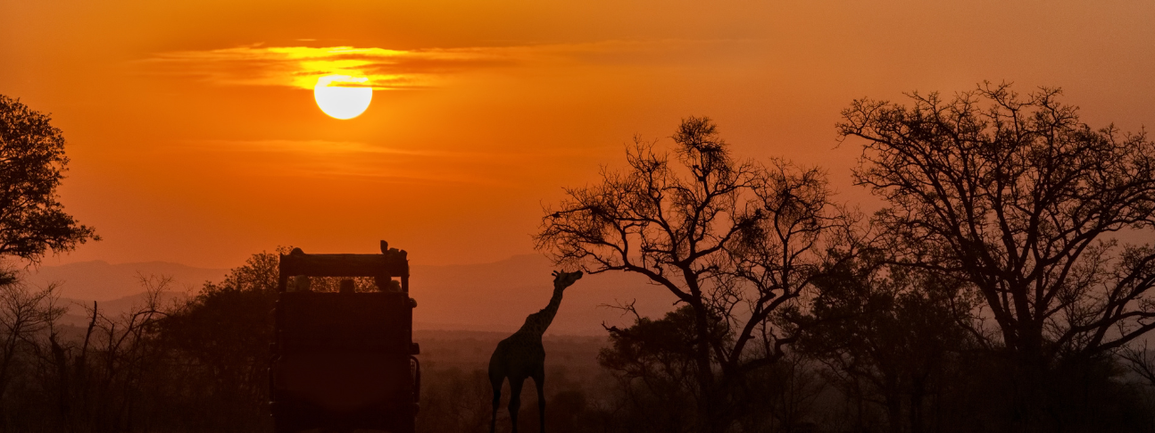 Namibija safari iz Beograda