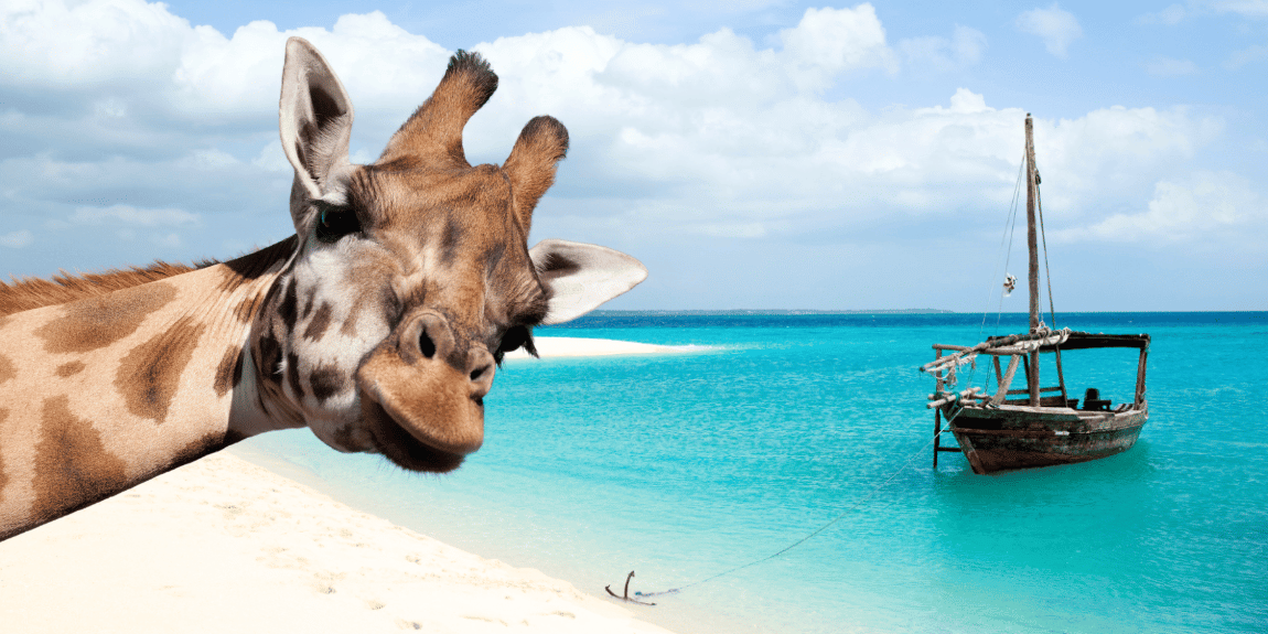 Zanzibar Safari i Plaža