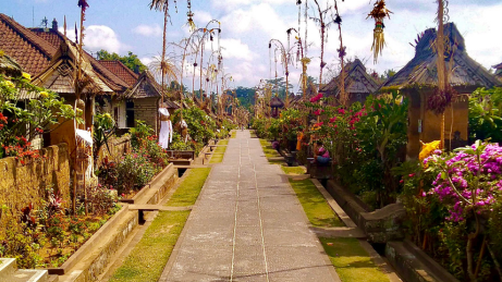 Batuan Village, Monkey Forest, Bird Park, River rafting