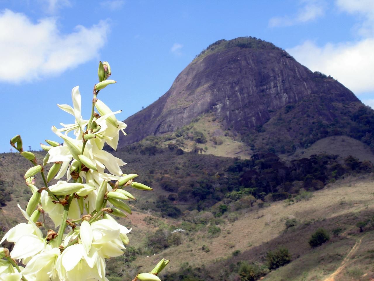 Pedra Bonita