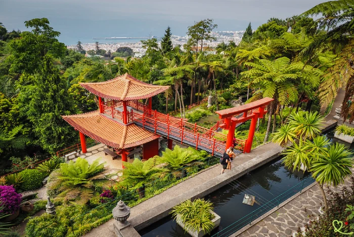 Botanički vrt Jardim Monte Palace Madeira