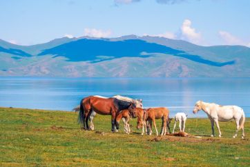 Uzbekistan, Tadžikistan, Kirgistan, Kazahstan ekspedicija
