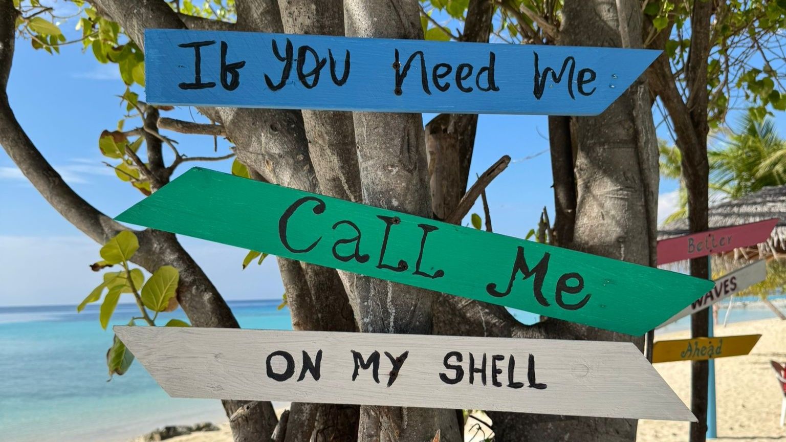 Local Island Experience