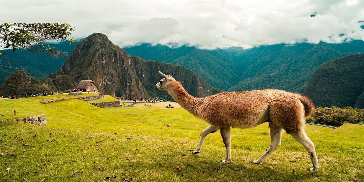 Čile, Peru, Bolivija, Čile Nova Godina iz Beograda