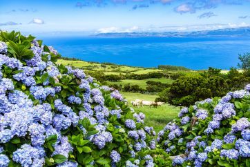 Portugal – Lisabon i Azori