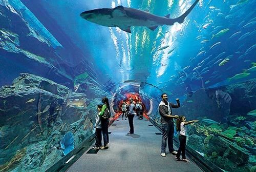 Veliki akvarij u Hurghadi