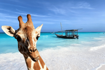 Zanzibar Safari i Plaža